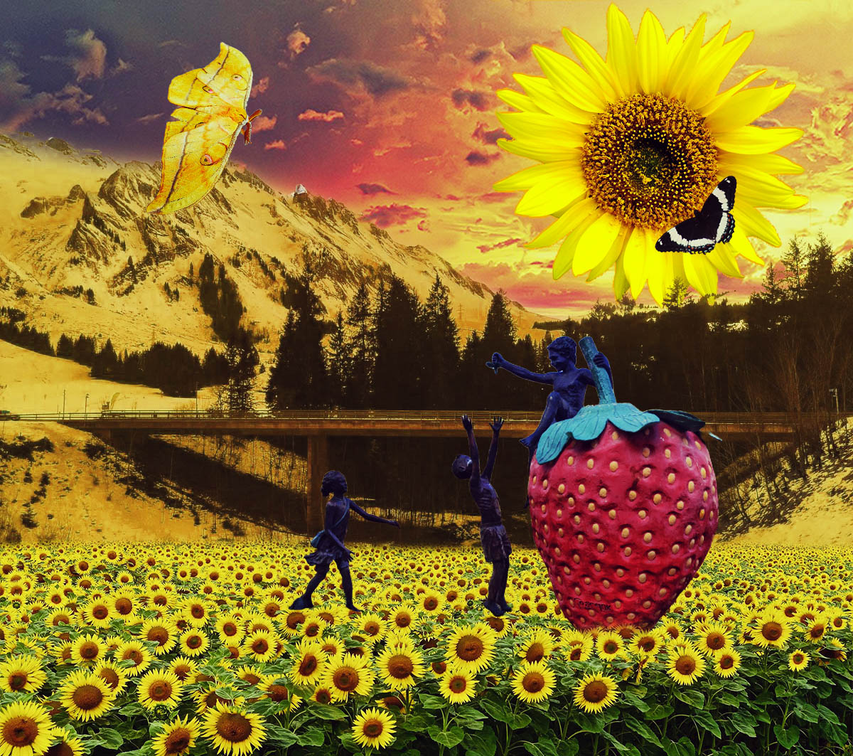 girasoles.jpg
