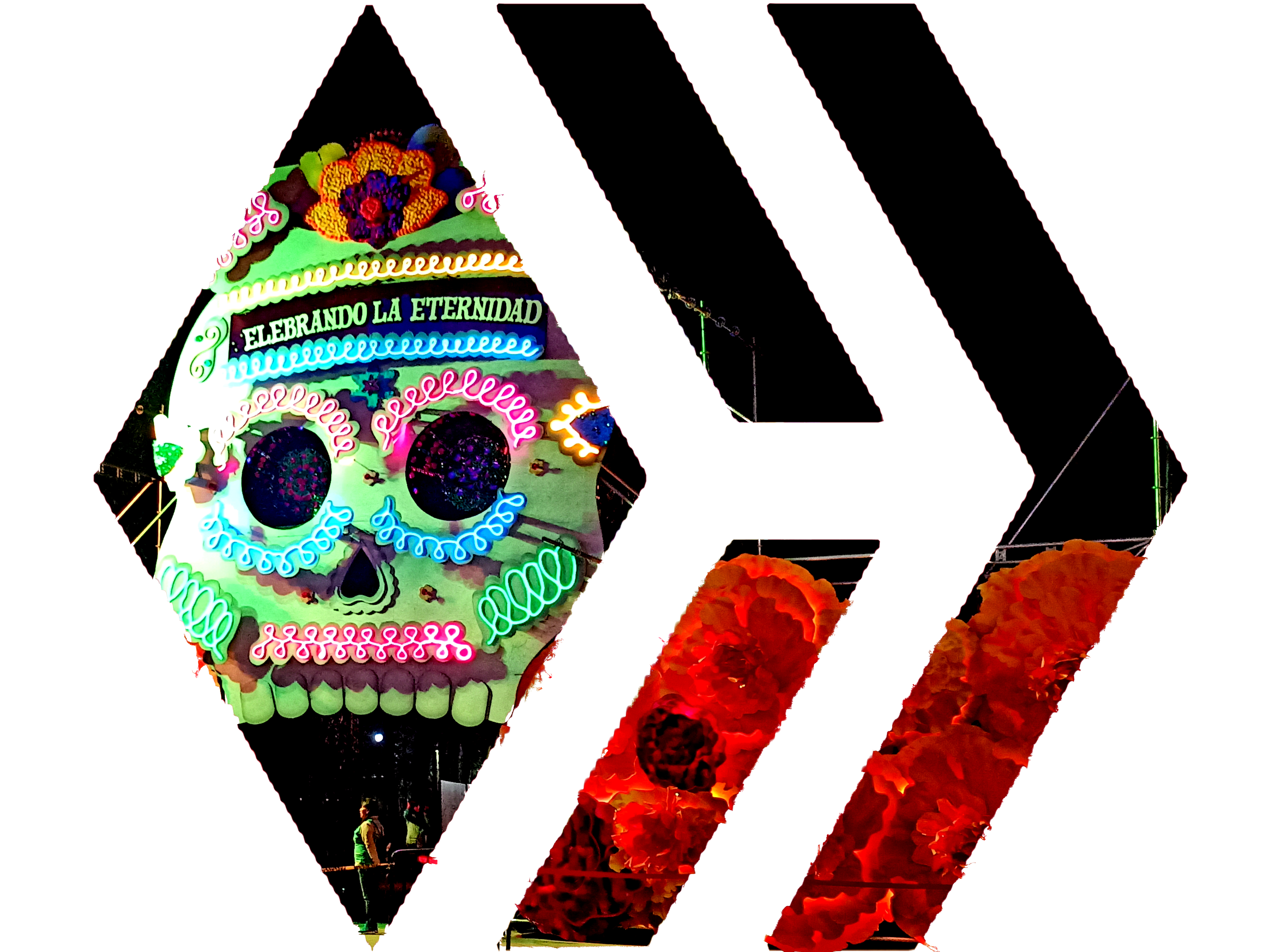 CaratulaDM.png