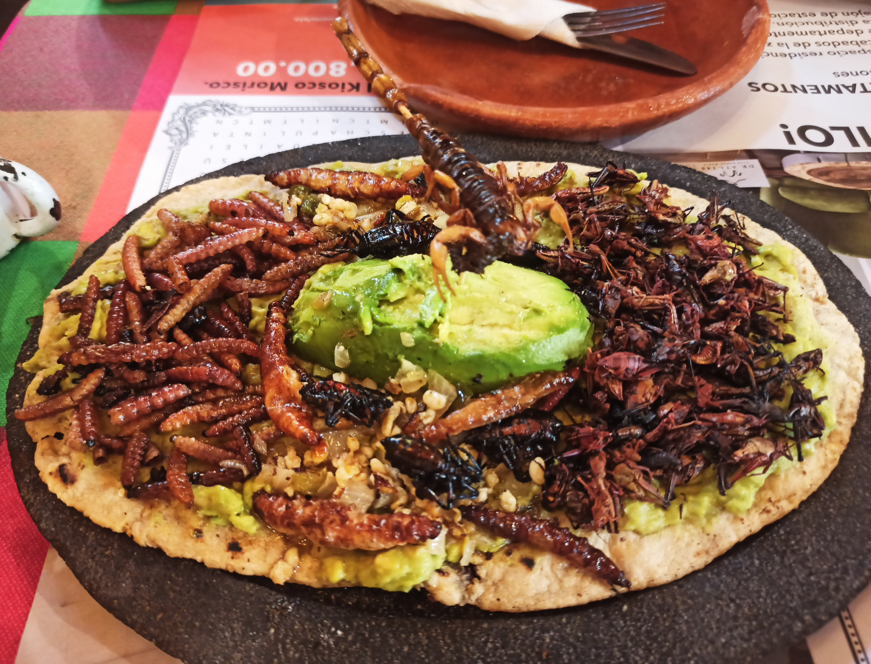 Platillo.jpg