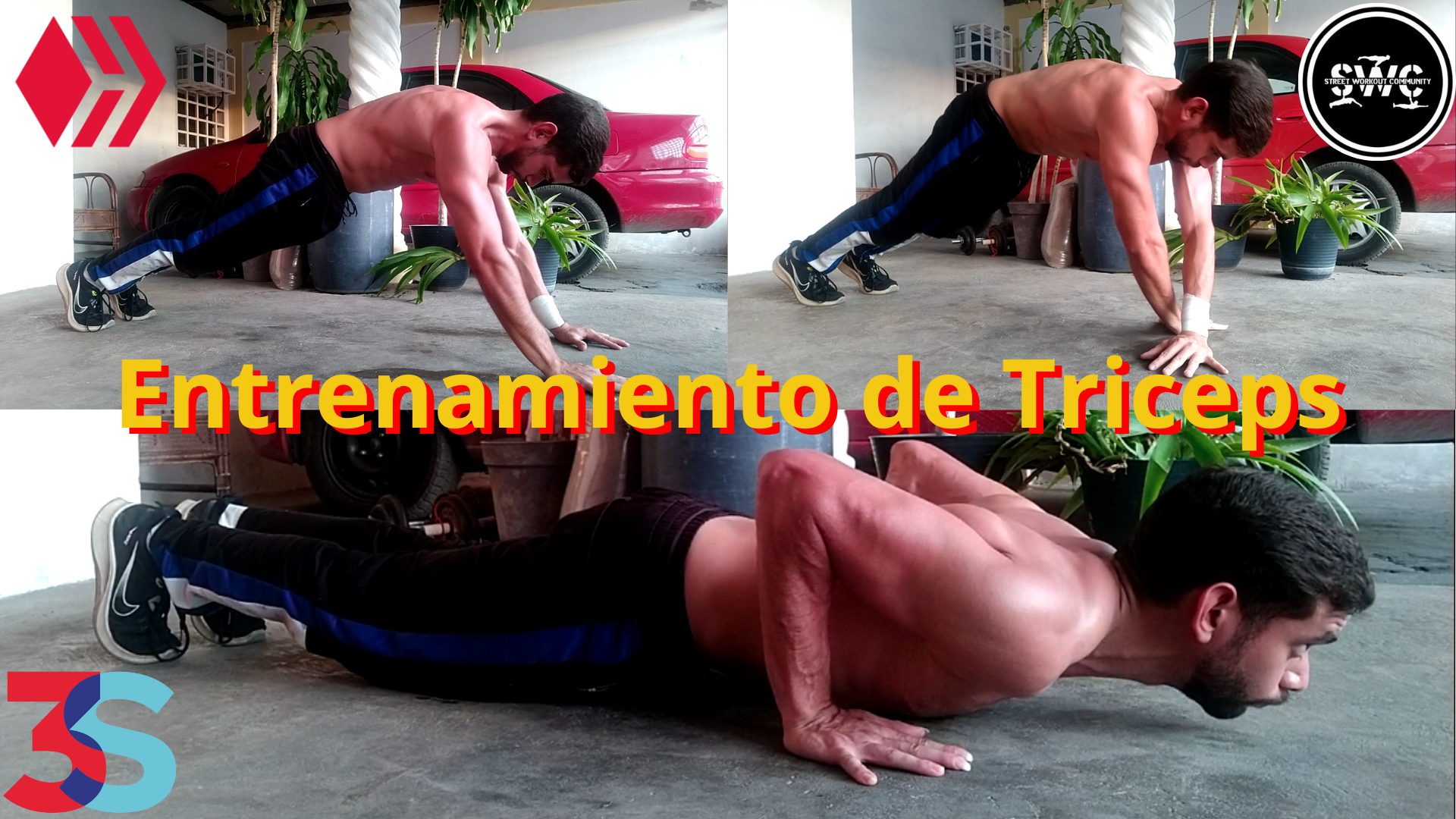 Entrenamiento de Triceps.png
