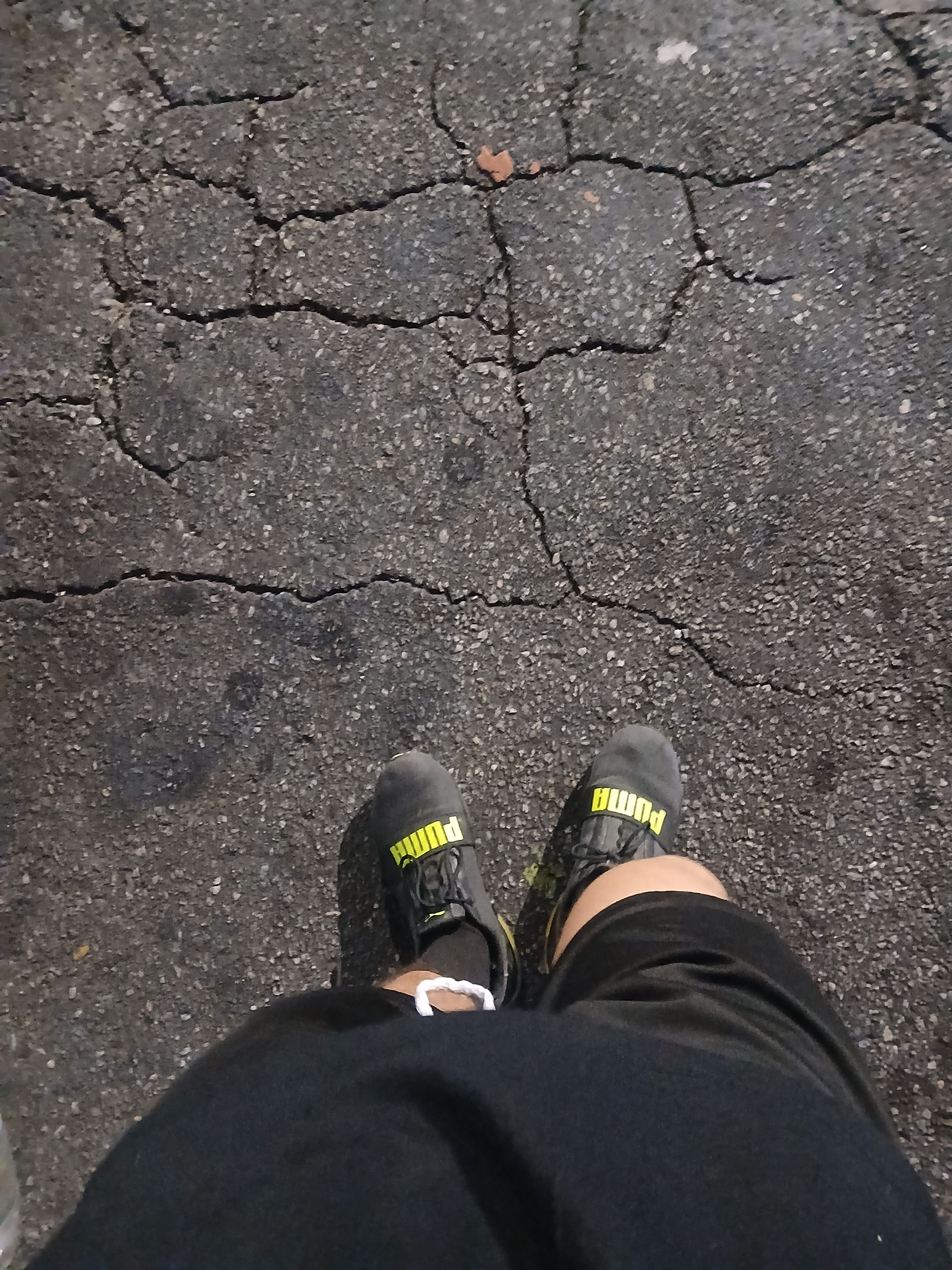 1000623176.jpg