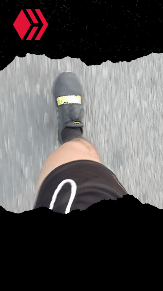1000613319.gif