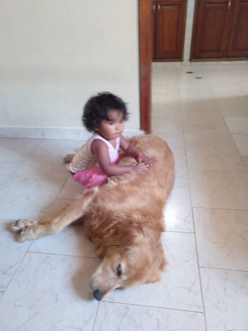 IMG20200127WA0002.jpg