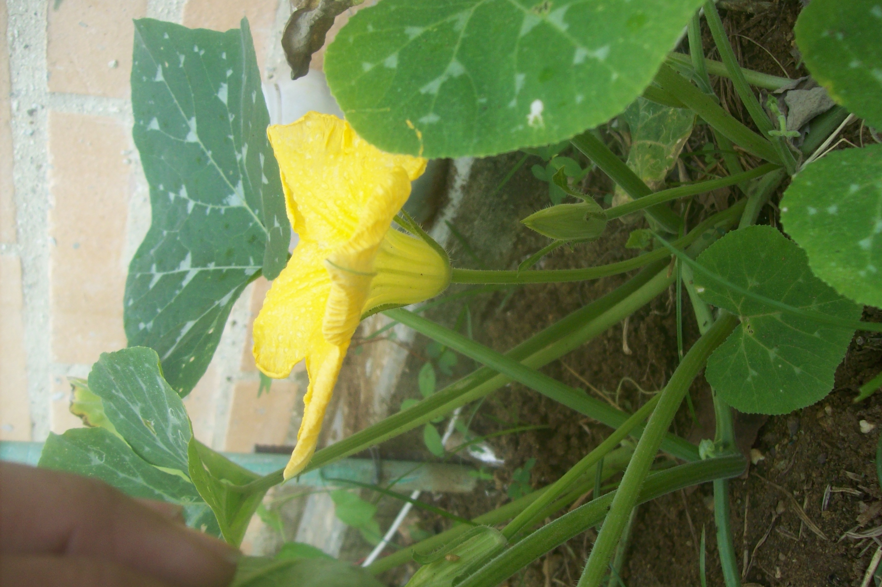 100_1294.JPG