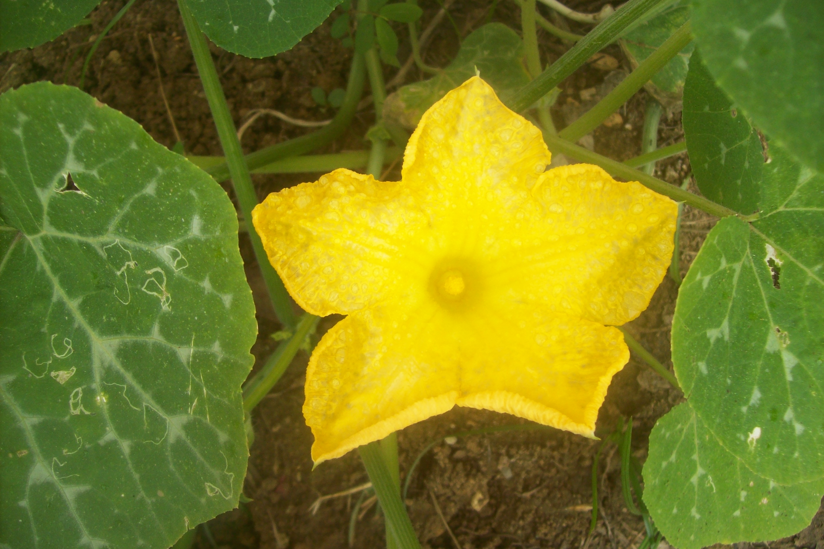 100_1293.JPG