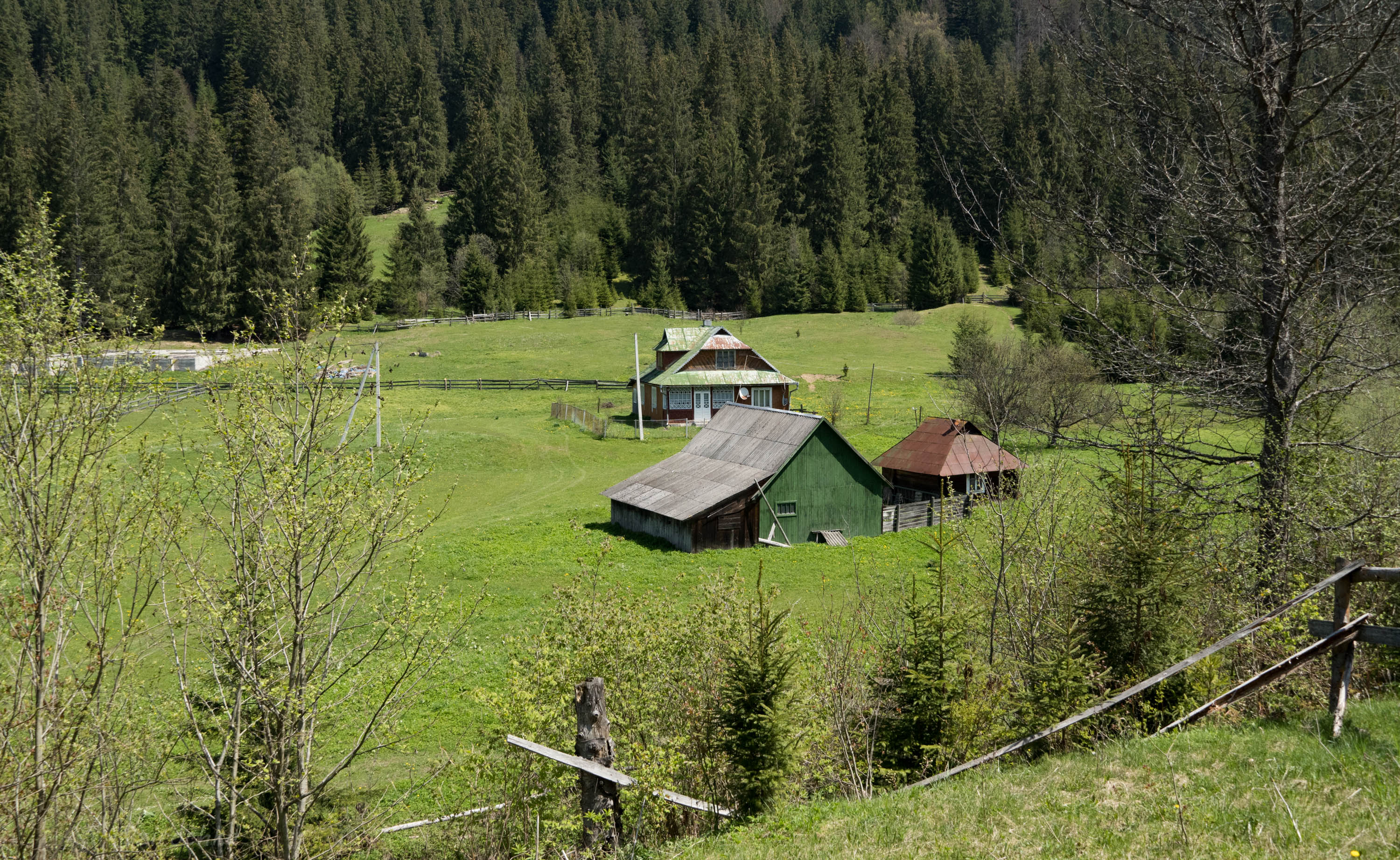 DSC01681.jpg