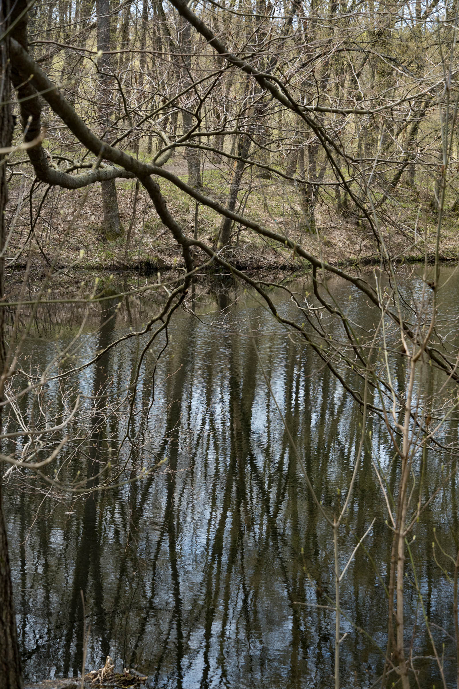DSC08353.jpg