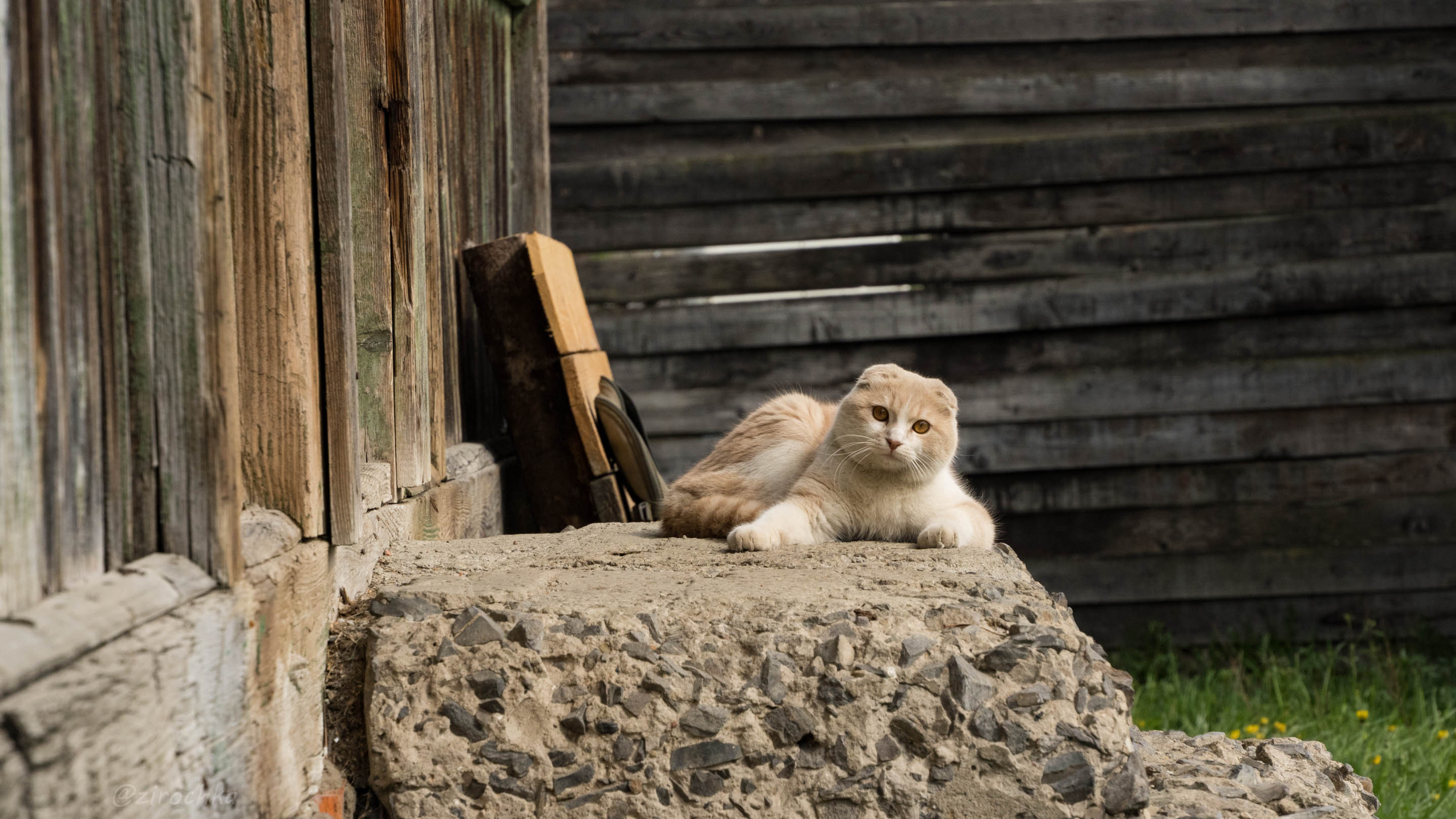 DSC01758.jpg