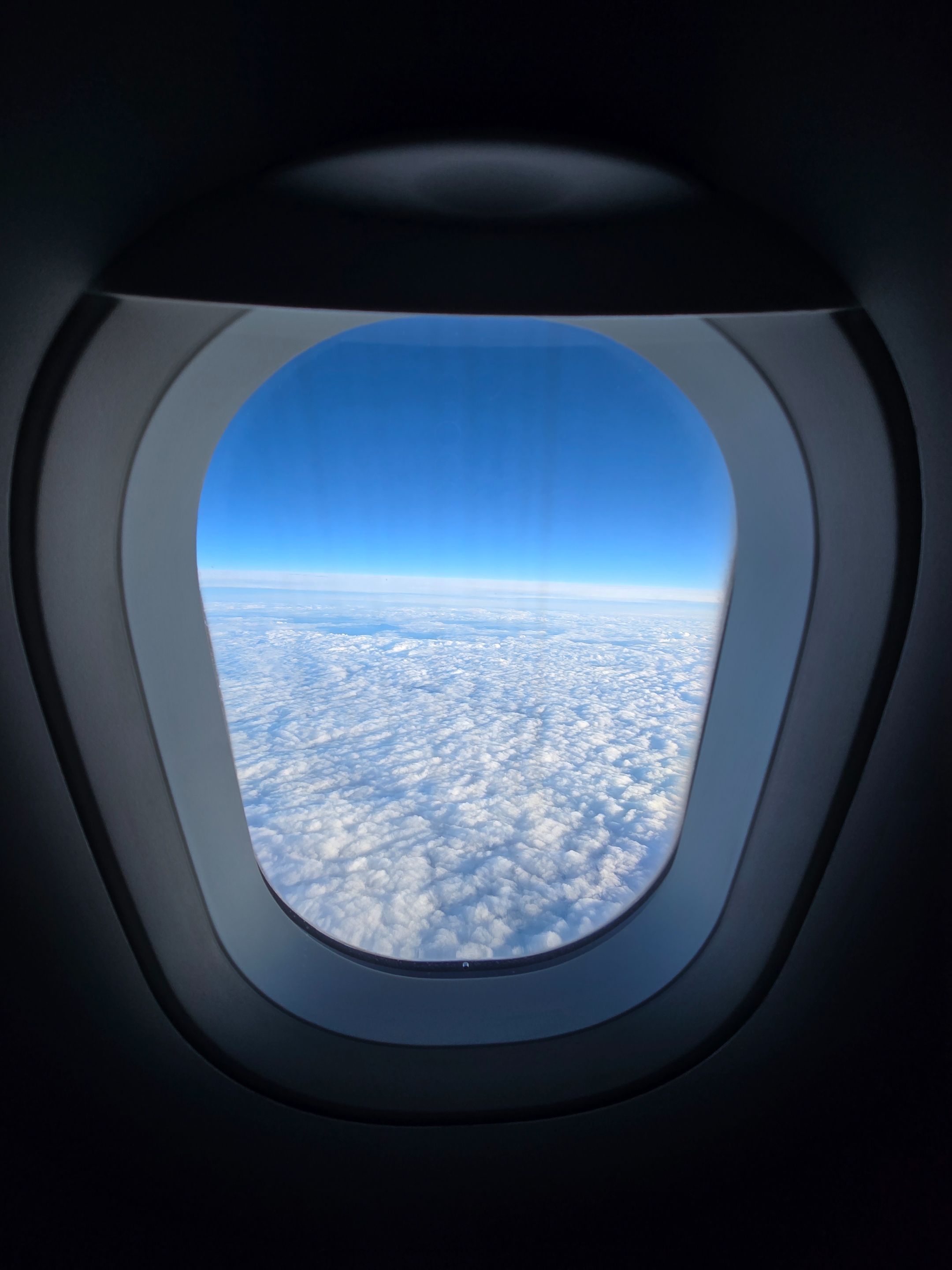 1000021620.jpg