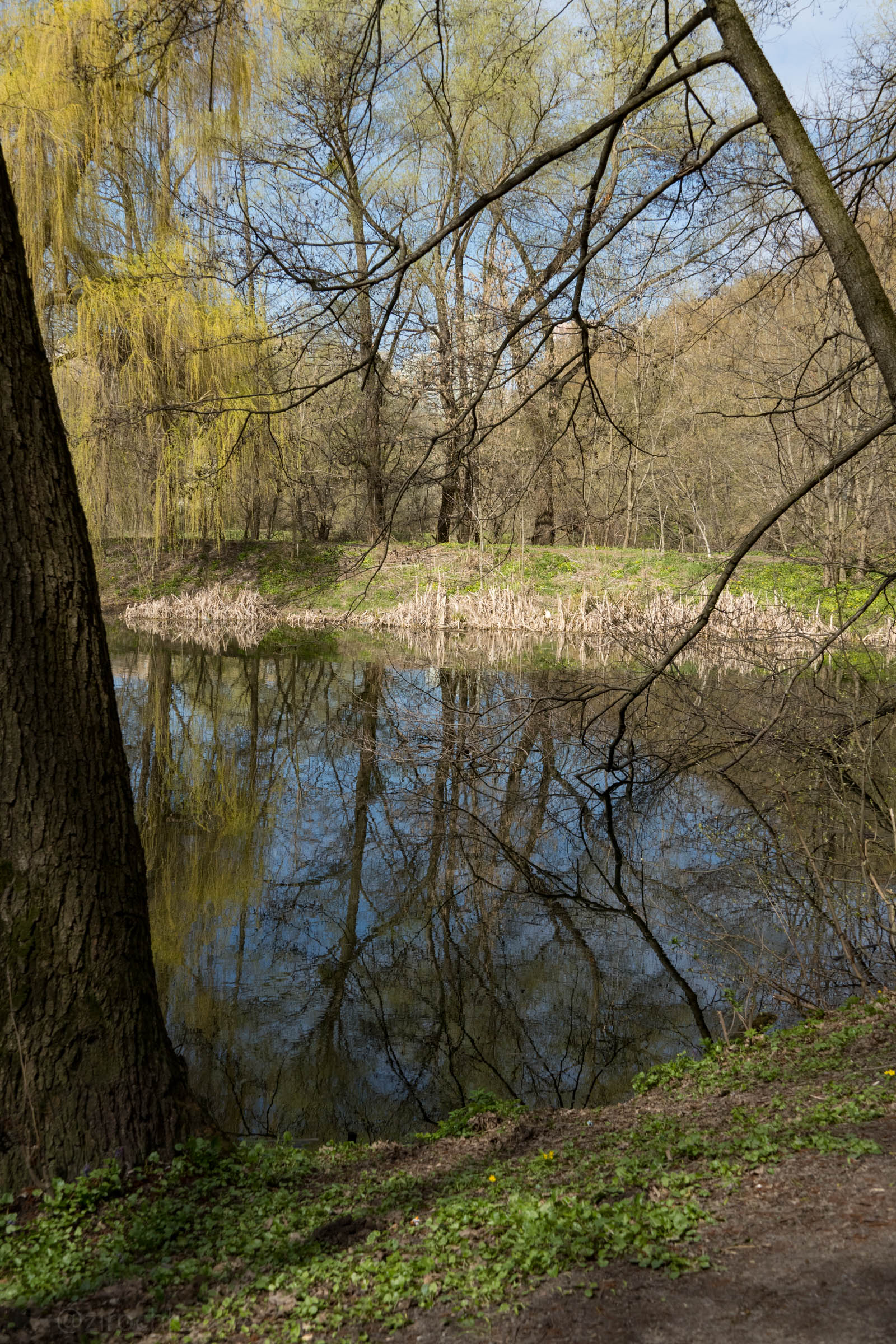 DSC08343.jpg