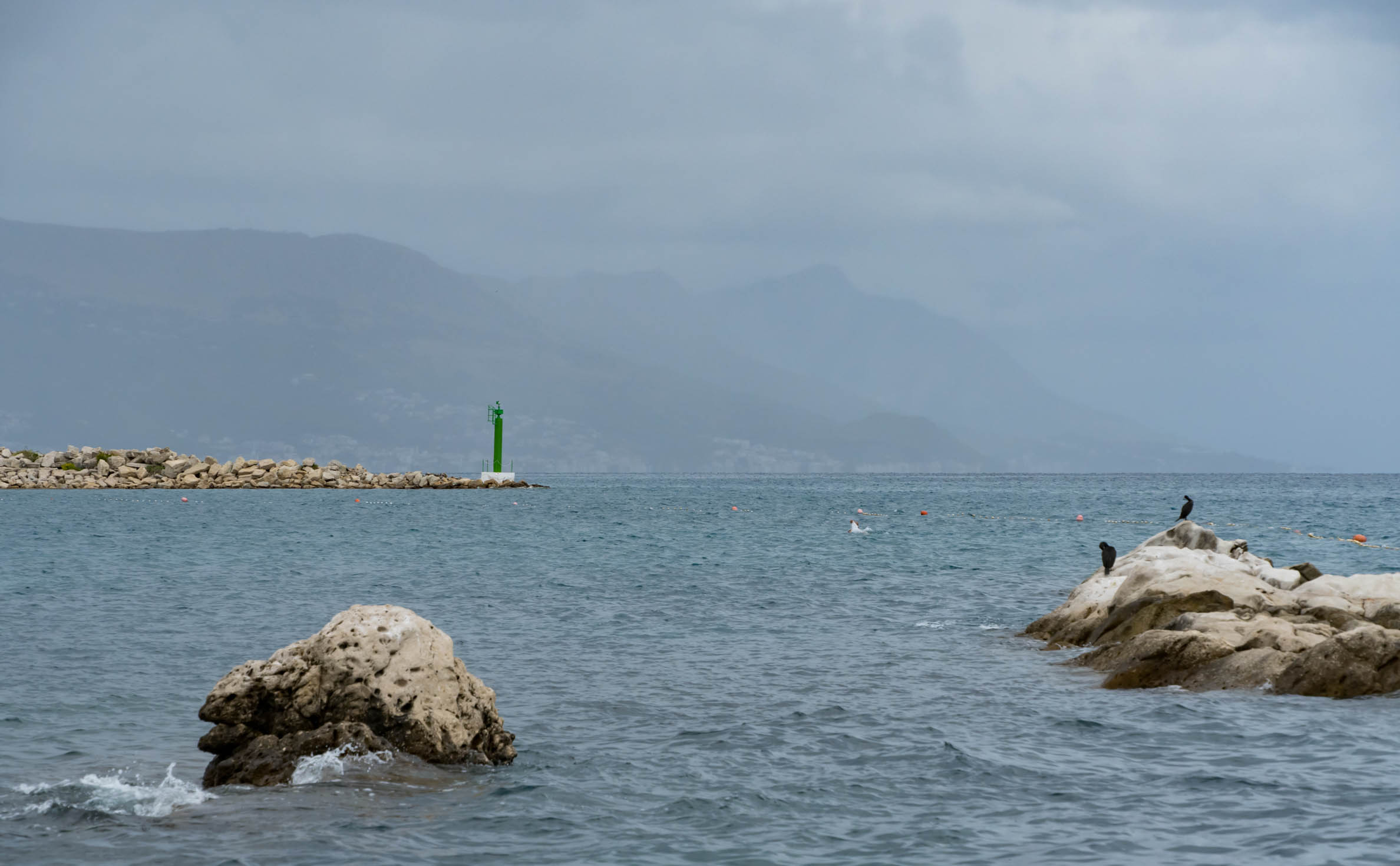 DSC09664.jpg