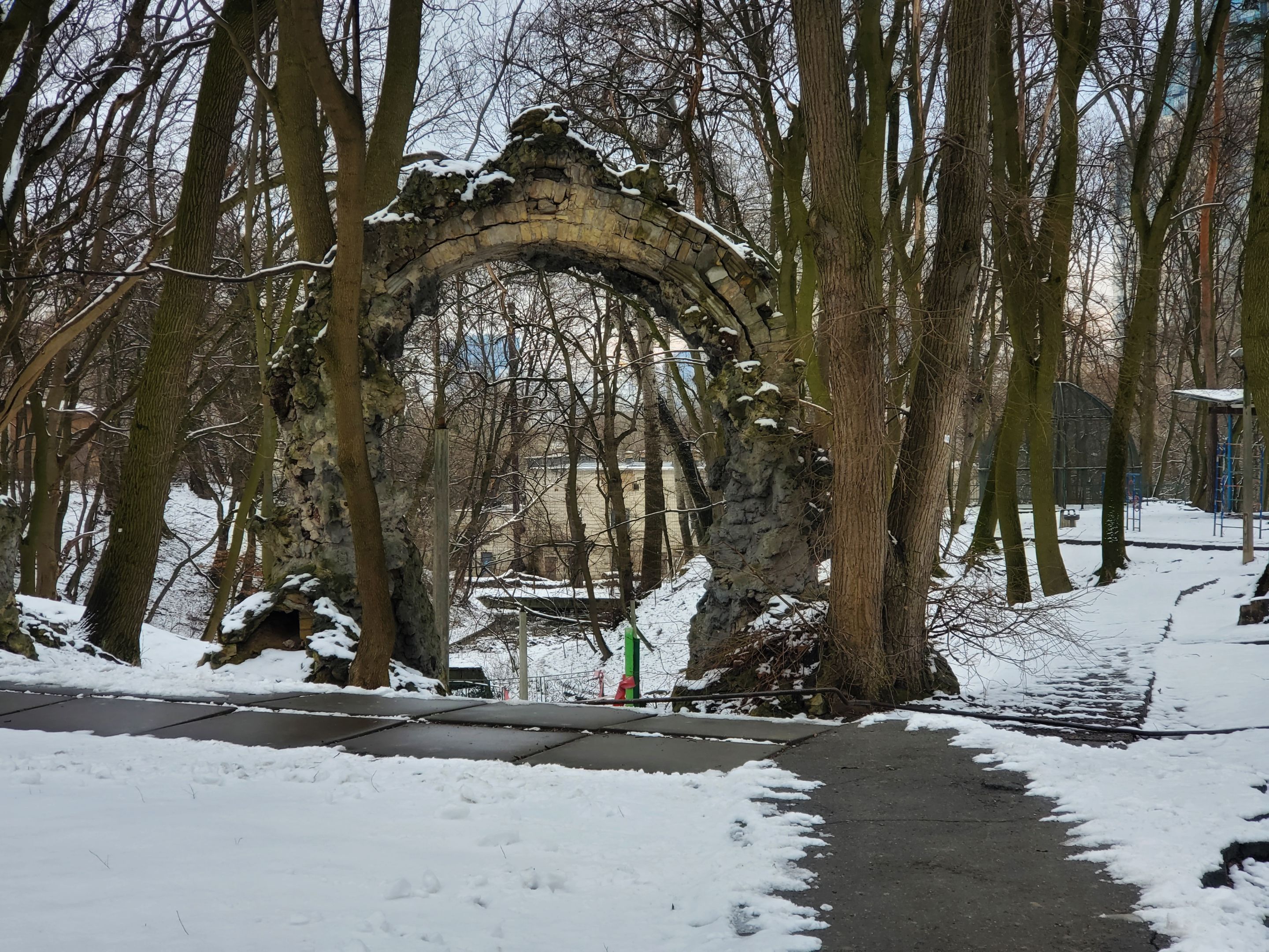 20240313_113016-01.jpeg