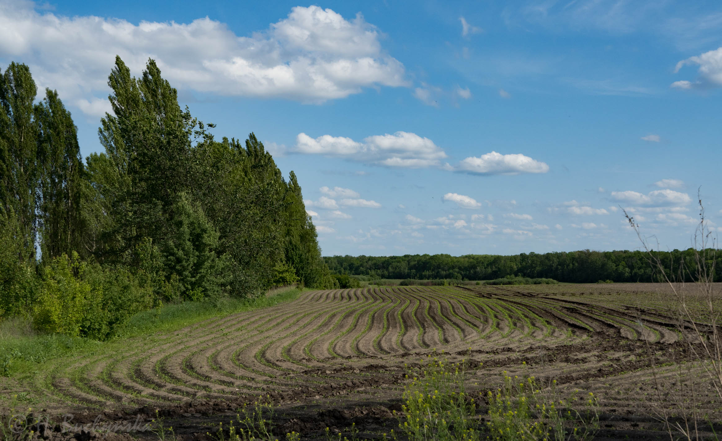 DSC01473.jpg