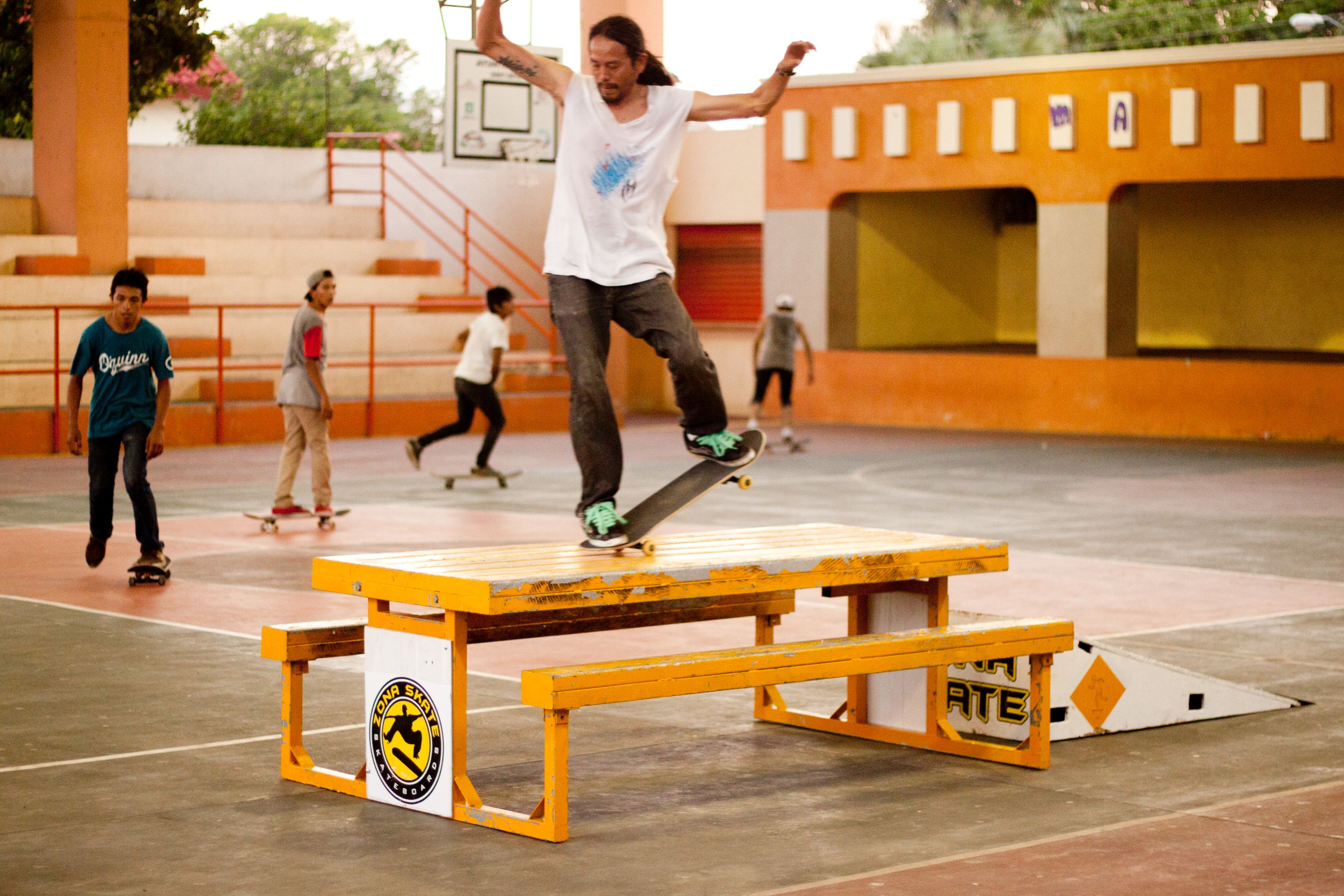 david nosemanual 2 ox copia.jpg