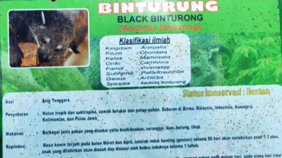 42.png