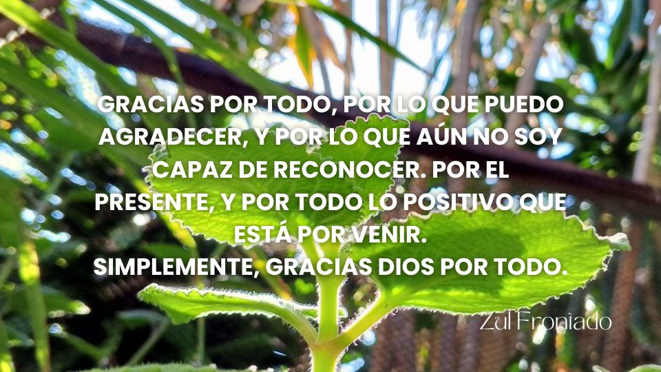 Portadas Hive (34).jpg