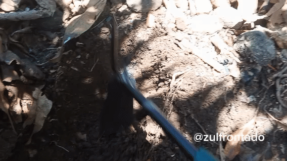 1000165654.gif