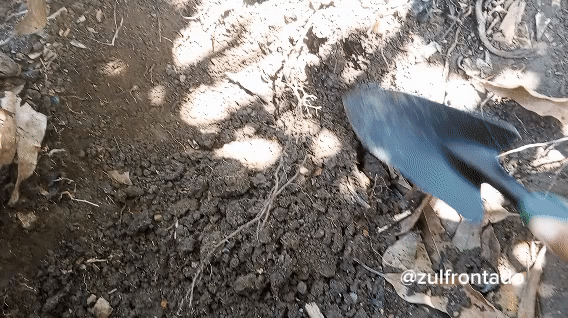 1000165653.gif