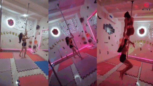 Diseño sin título.gif