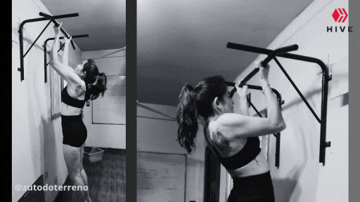 @zutodoterreno (2).gif