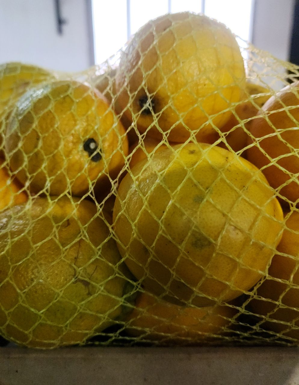 1000057474.jpg