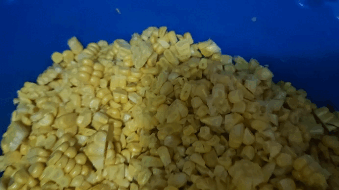 Gif 3.gif